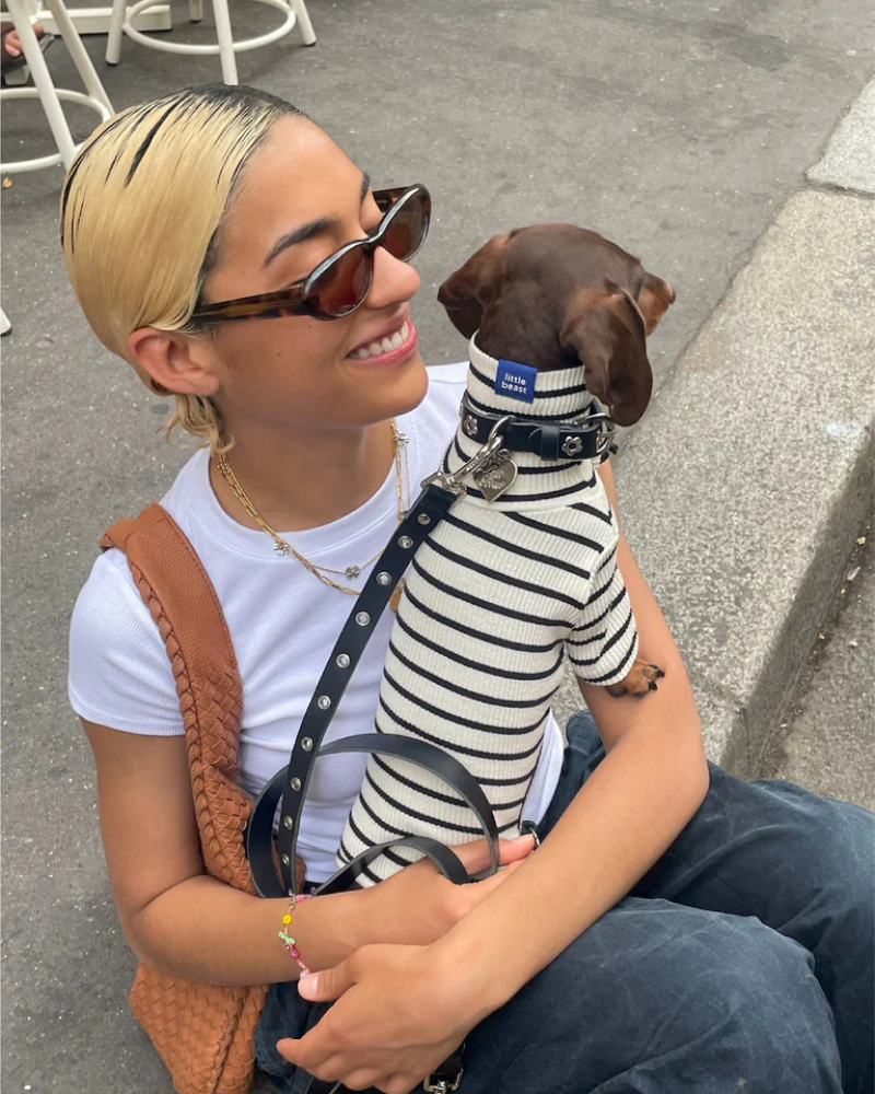 Flower Power Dog Leash in Midnight