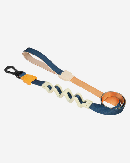 Ruff Leash for Dogs in Voyage