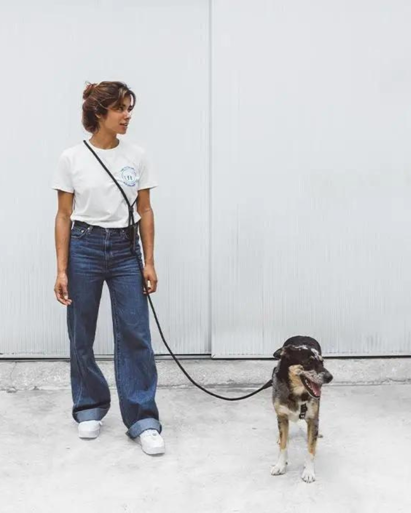 Hands-Free Adjustable Dog Leash