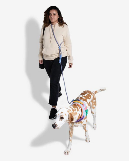 Hands-Free Adjustable Dog Leash