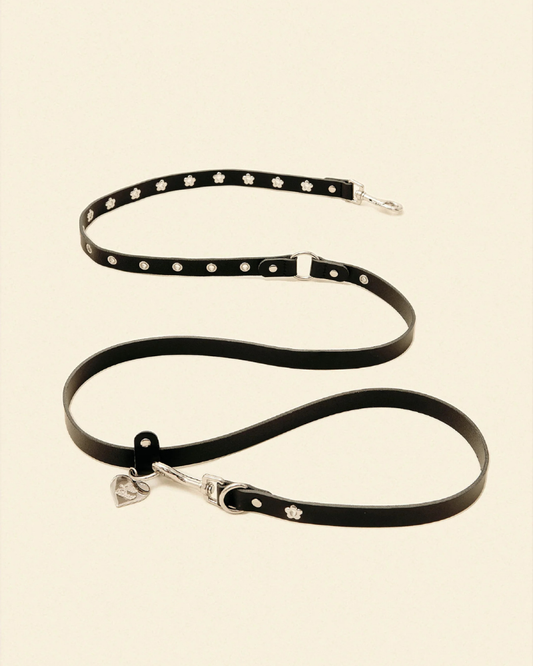 Flower Power Dog Leash in Midnight