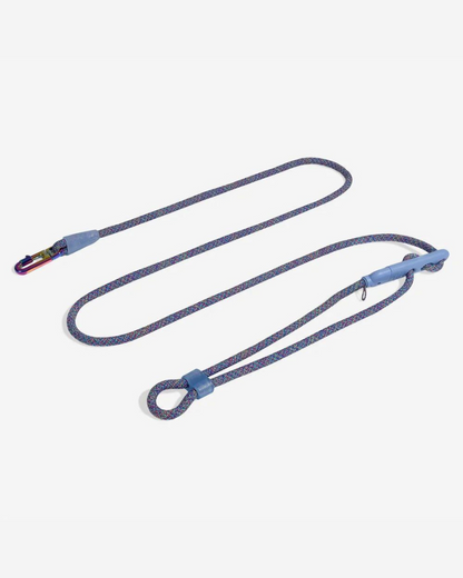 Hands-Free Adjustable Dog Leash