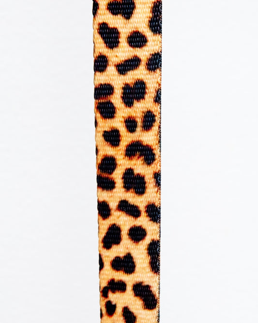 Basic Nylon Dog Leash in Leopard
