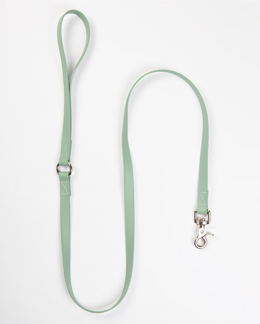 A Walk in the Park Dog Leash in Sage Green