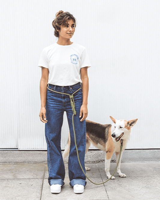 Hands-Free Adjustable Dog Leash